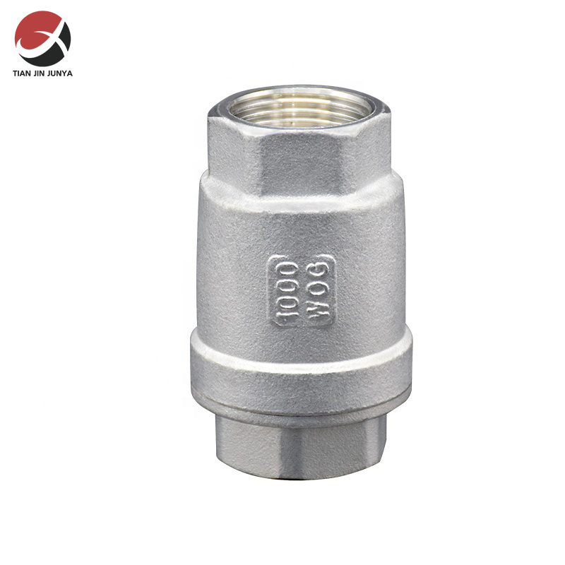 不(bú)鏽鋼二(er)片式彈(dan)簧止回(huí)閥